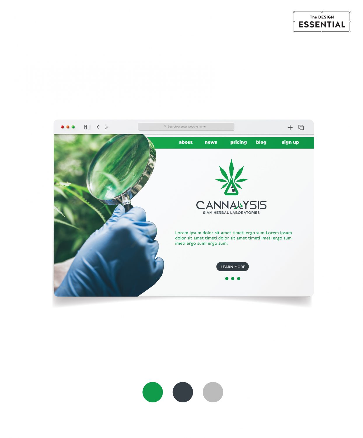 CANNALYSIS WEB TEMPLATE